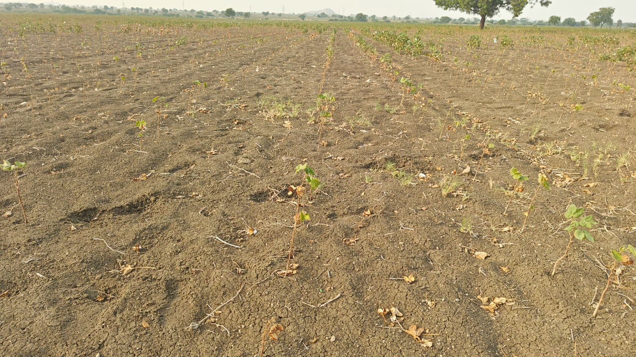 ಕೇಂದ್ರ ತಂಡದಿಂದ ರಾಯಚೂರು ಜಿಲ್ಲೆಯಲ್ಲಿ ಬರ ಸಮೀಕ್ಷೆ