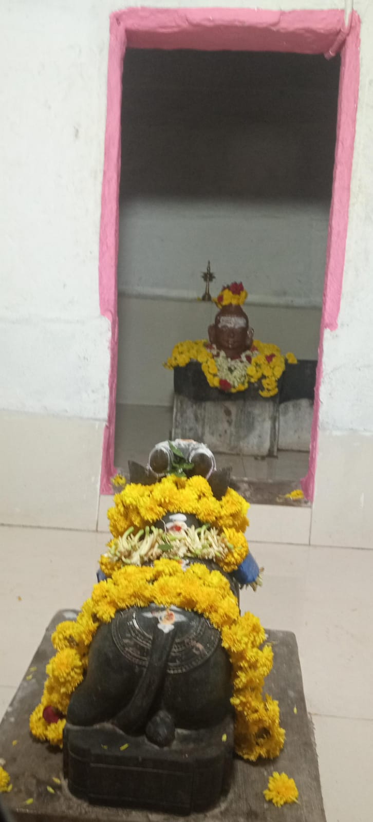 ಆನೆಗಳ ವಾಸಸ್ಥಾನ ಪಾರ್ವತಮ್ಮನ ಬೆಟ್ಟಕ್ಕೆ ಬೆಳಗಿನ ಚಾರಣ