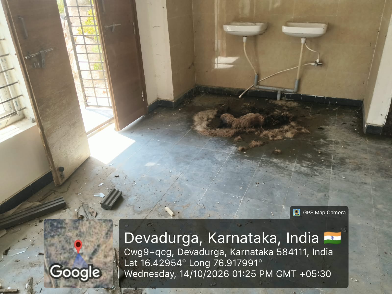 ₹1 ಕೋಟಿ ವೆಚ್ಚದ ಅಂಬೇಡ್ಕರ್ ಭವನಕ್ಕೆ ಉದ್ಘಾಟನೆ ಭಾಗ್ಯವಿಲ್ಲ; ಬೀದಿ ನಾಯಿಗಳ ತಾಣವಾದ ಸಾರ್ವಜನಿಕ ಕಟ್ಟಡ!